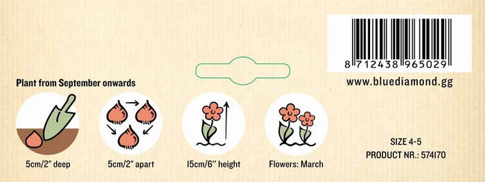 Anemone Blanda Mixed PBR - image 3