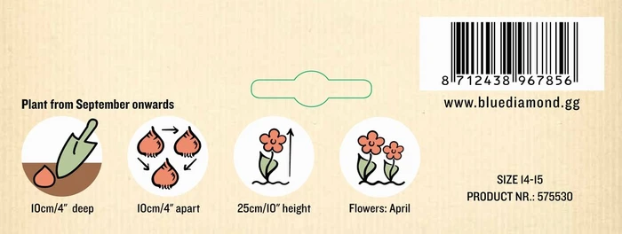 Hyacinth Bedding Yellowstone NE - image 3