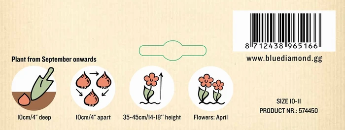 Tulip Garden Mixed PBR - image 3