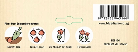 Tulip Garden Mixed PBR - image 3