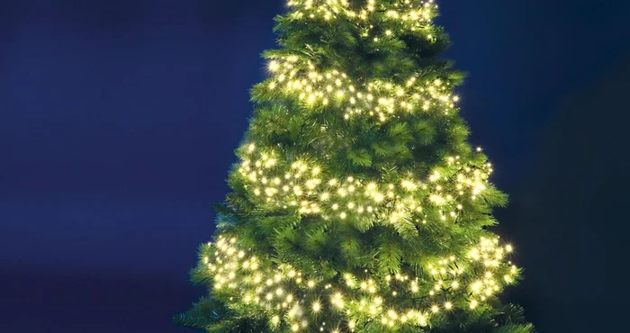 Cluster 770 Warm White String Light - image 2