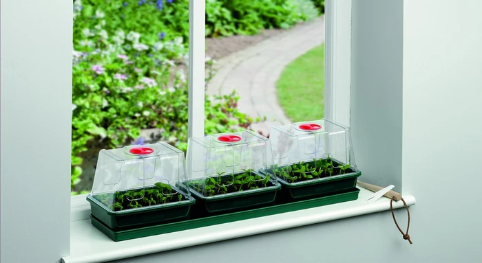 Three Top Windowsill Propagator - image 4
