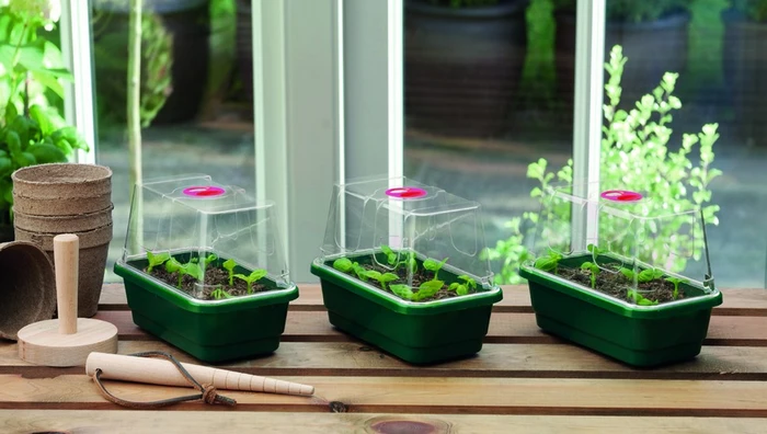 Mini Unheated Propagator 3Pk - image 3