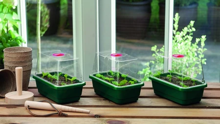 Mini Unheated Propagator 3Pk - image 3