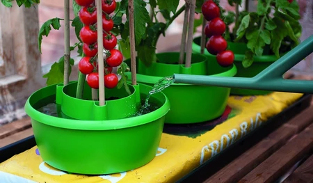 Plant Halos Green 3Pk - image 6