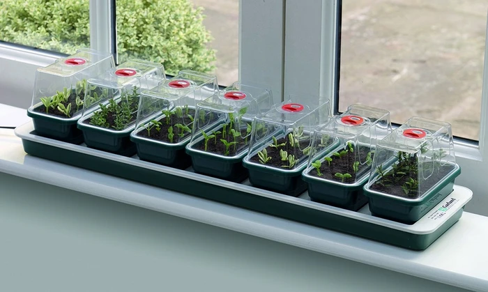 Super 7 Electric Window Propagator - image 4