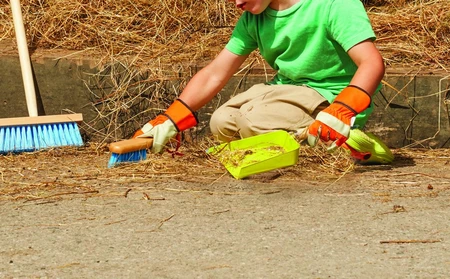 Dust Pan And Brush