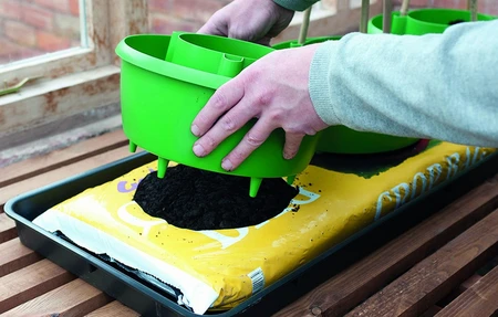Plant Halos Green 3Pk - image 8
