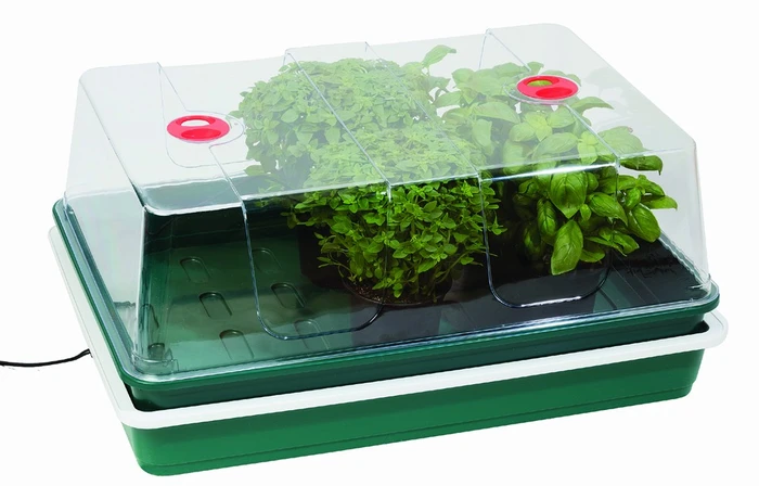 Electric Propagator - image 1