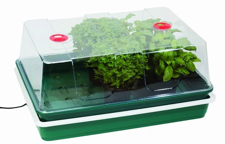 Electric Propagator