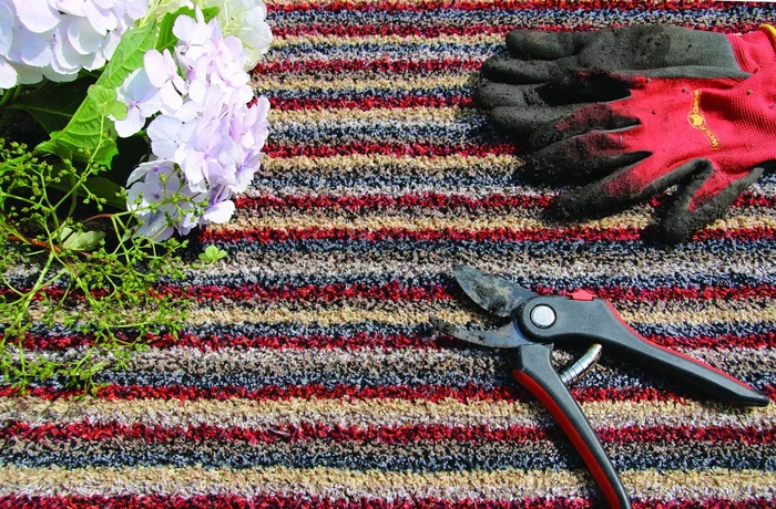 Cotton My Candy Spice 50X75Cm - image 4