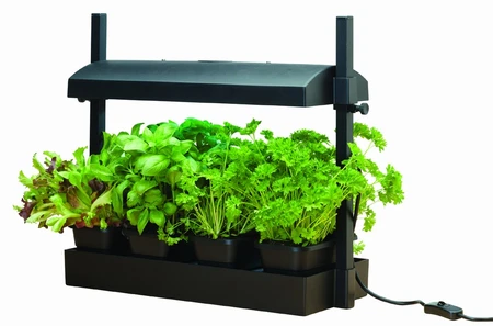 Micro Grow Light Propagator - image 2