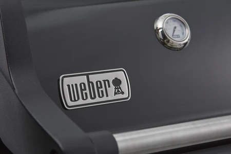 Weber Spirit E315 - image 9