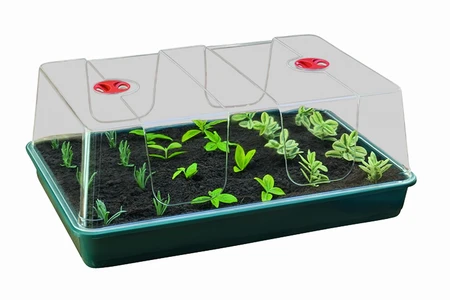 Unheated Propagator - image 2