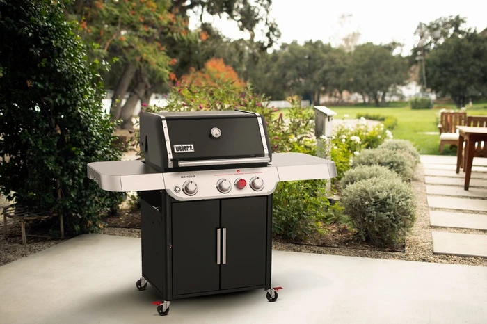 Weber Genesis E325S - image 2