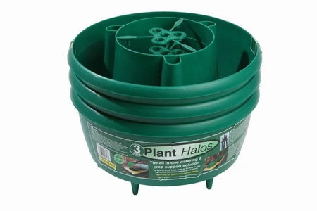 Plant Halos Green 3Pk - image 2