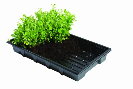 Professional Seed Trays 5Pk - image 2