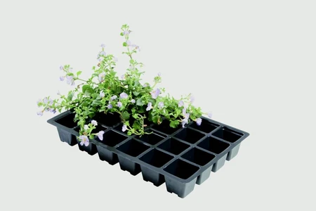 Professional 24 Cell Inserts 5Pk - image 2