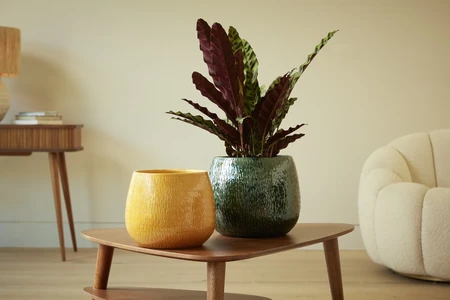 Zara Pot Yellow 22CM - image 2