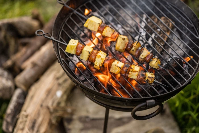 Travel Skewers - image 3