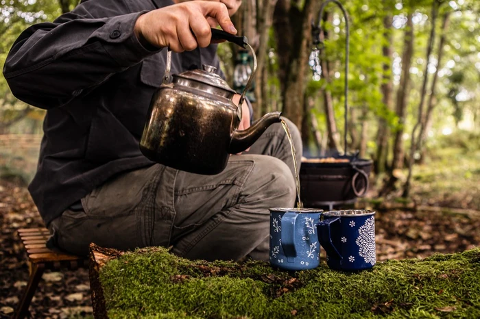 Travel Kettle - image 4