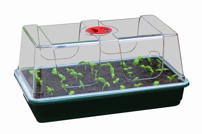 Unheated Propagator - image 2