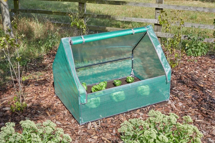 Grozone Grocloche - image 2