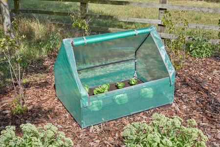 Grozone Grocloche - image 2