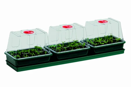Three Top Windowsill Propagator - image 3