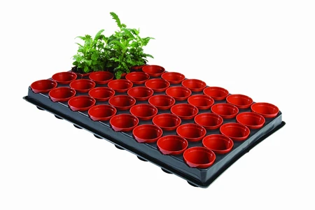 Pro Seed And Cutting Tray + 40 Pots - image 2