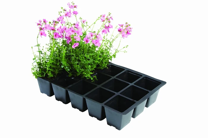 Professional 15 Cell Inserts 5Pk - image 1