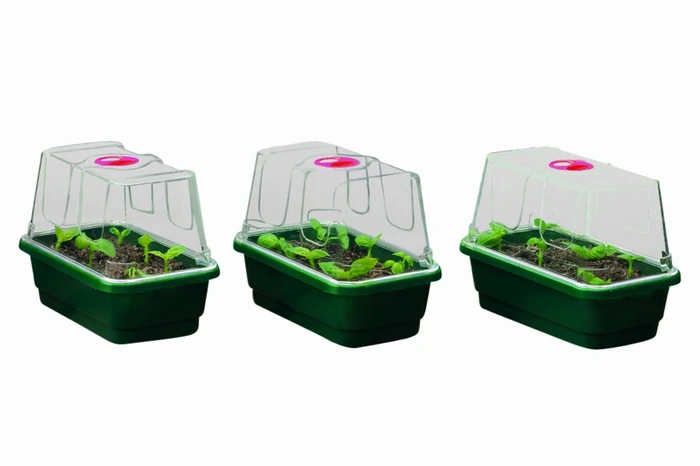 Mini Unheated Propagator 3Pk - image 2