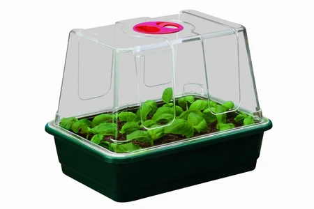 Unheated Propagator