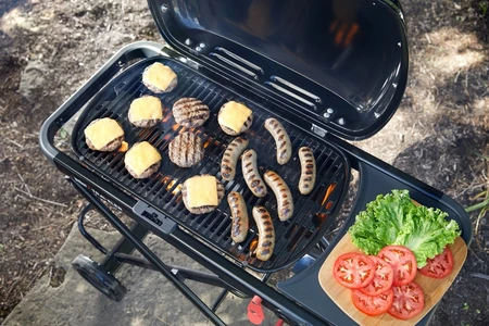 Weber Traveler - image 4