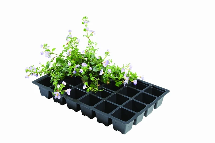 Professional 24 Cell Inserts 5Pk - image 1
