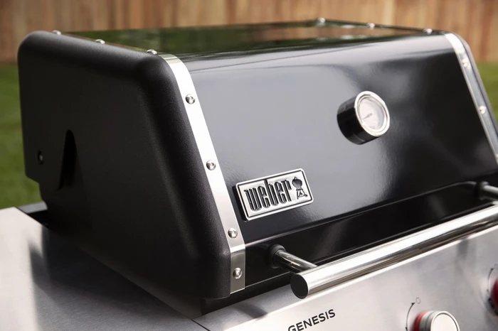Weber Genesis E 315 - image 4