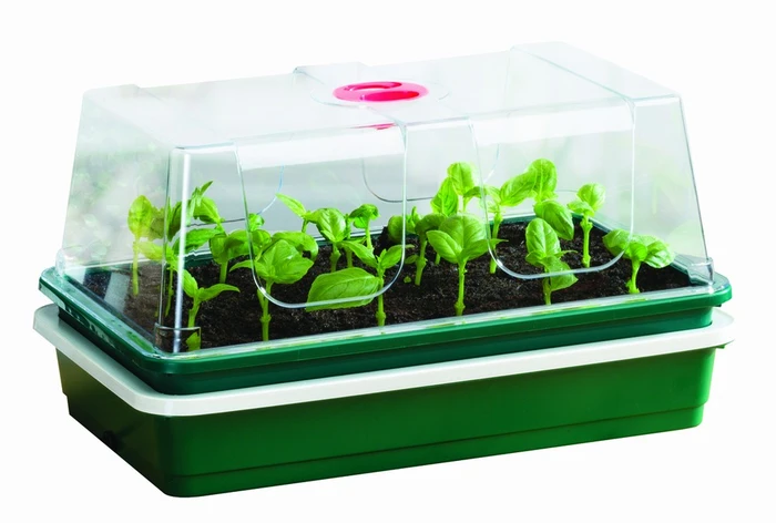One Top Electric Propagator - image 3