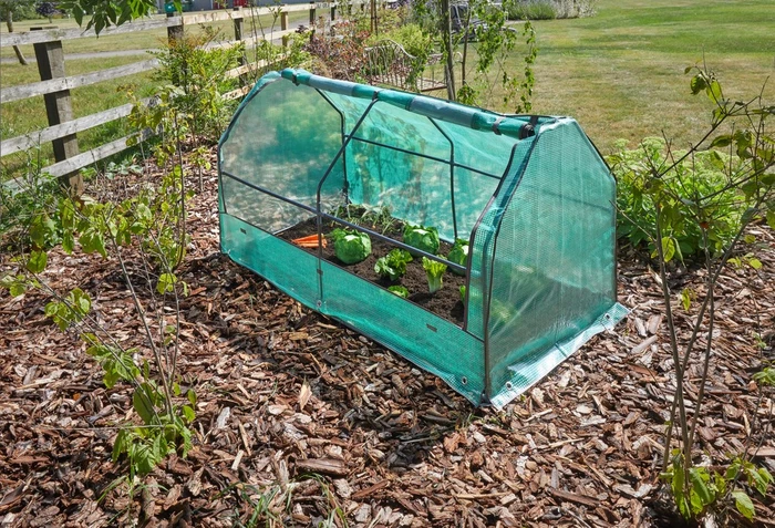 Grozone Max Cloche - image 2