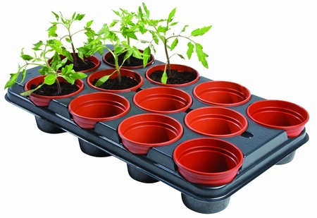 Pro Growing Tray 12 Pots - image 1