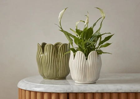 Tulip Pot White 15CM - image 2