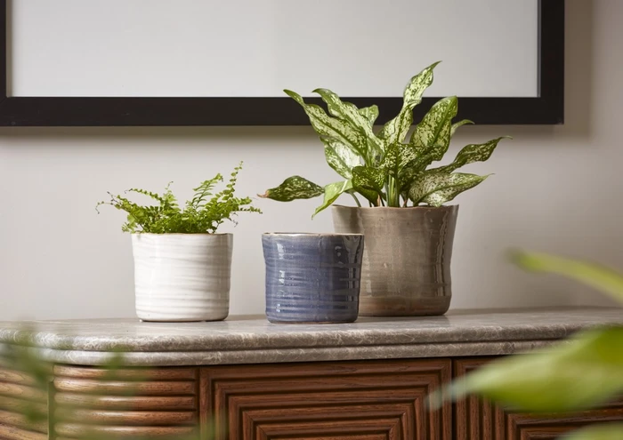 Ancient Pot Blue 14CM - image 2