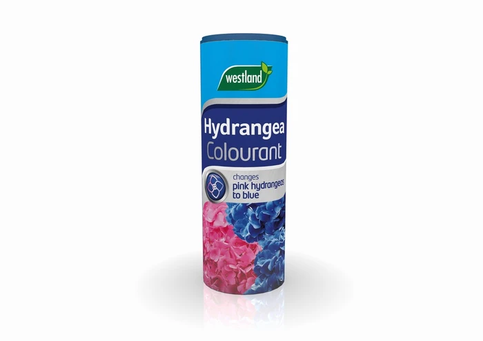 Hydrangea Colourange
