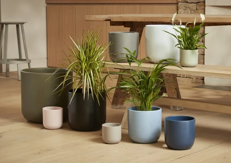 Capri Pot Sage 14CM - image 2