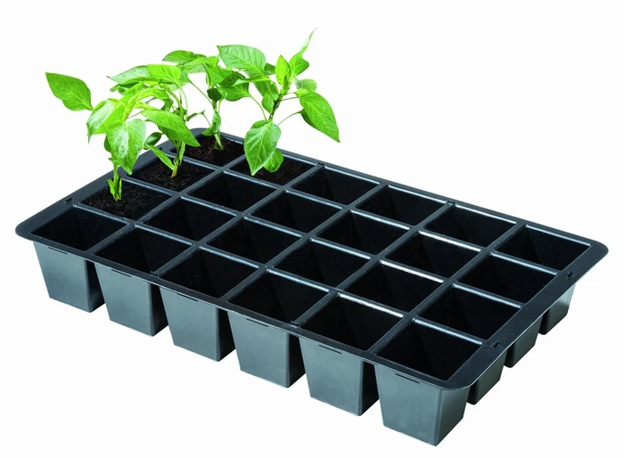 Premium 24 Cell Inserts - image 3