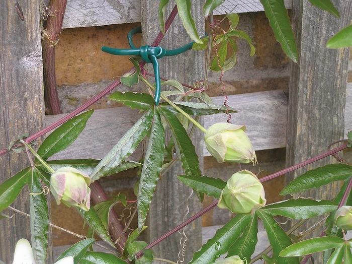 Flexi Tube 3.5Mm - image 2