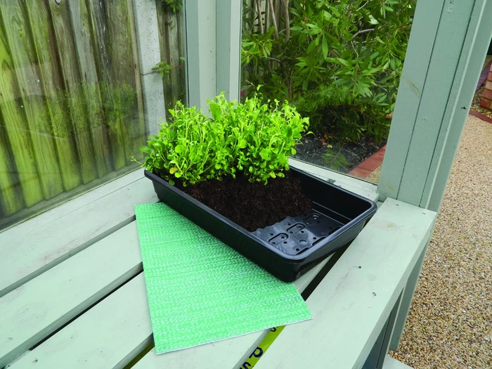 Capillary Matting Tray Inserts 5Pk