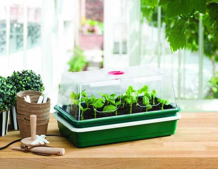 One Top Electric Propagator - image 1