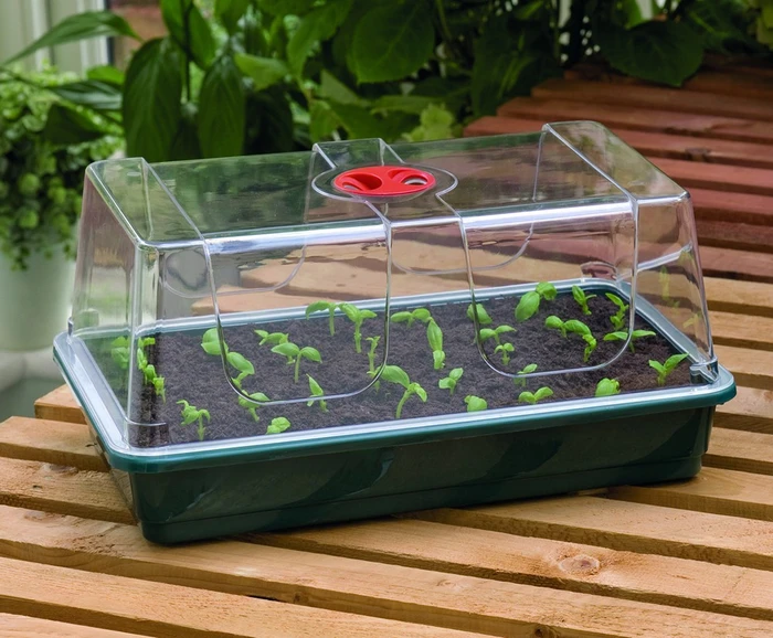 Unheated Propagator - image 3