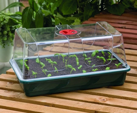 Unheated Propagator - image 3