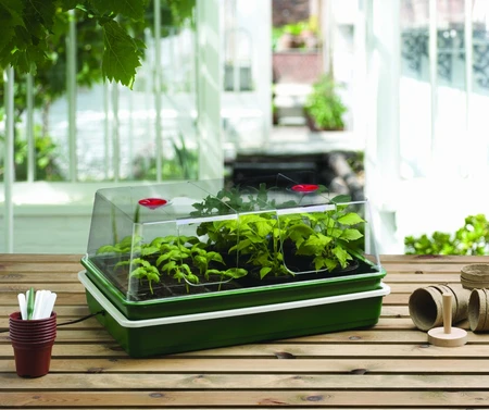 Electric Propagator - image 3